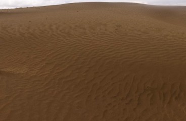 Куйтунские песчаные дюны на берегу реки Аргада