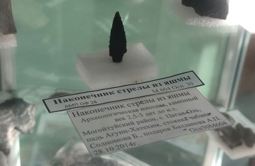 Археологический экспонат музея Природы