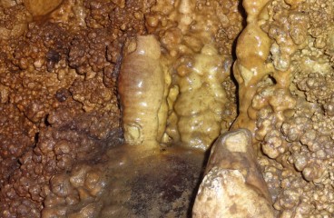 Кальцитовые натечные коры в пещере Долганская Яма