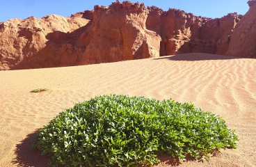 Хэрэм Цав (ущелье отшельников)