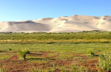 Дюны Хонгорын Элс